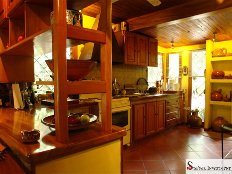 kitchen with beautiful wood finishings