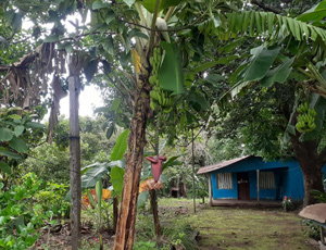 parque del encino-Liberia