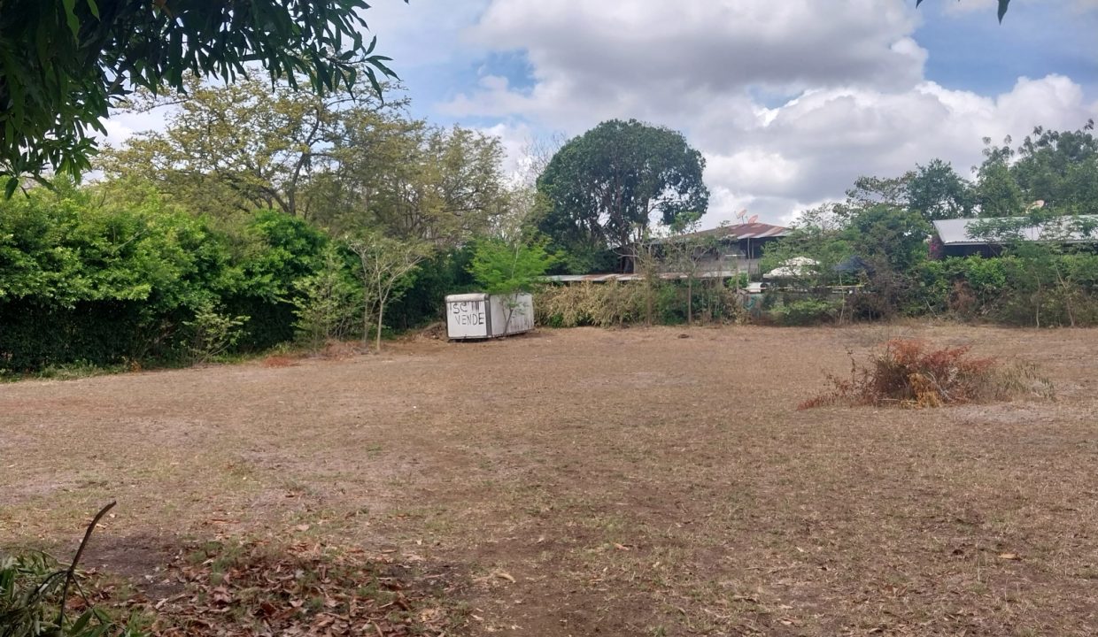 TerrenoSardinalF15