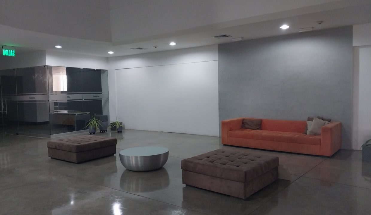 plazafutura19